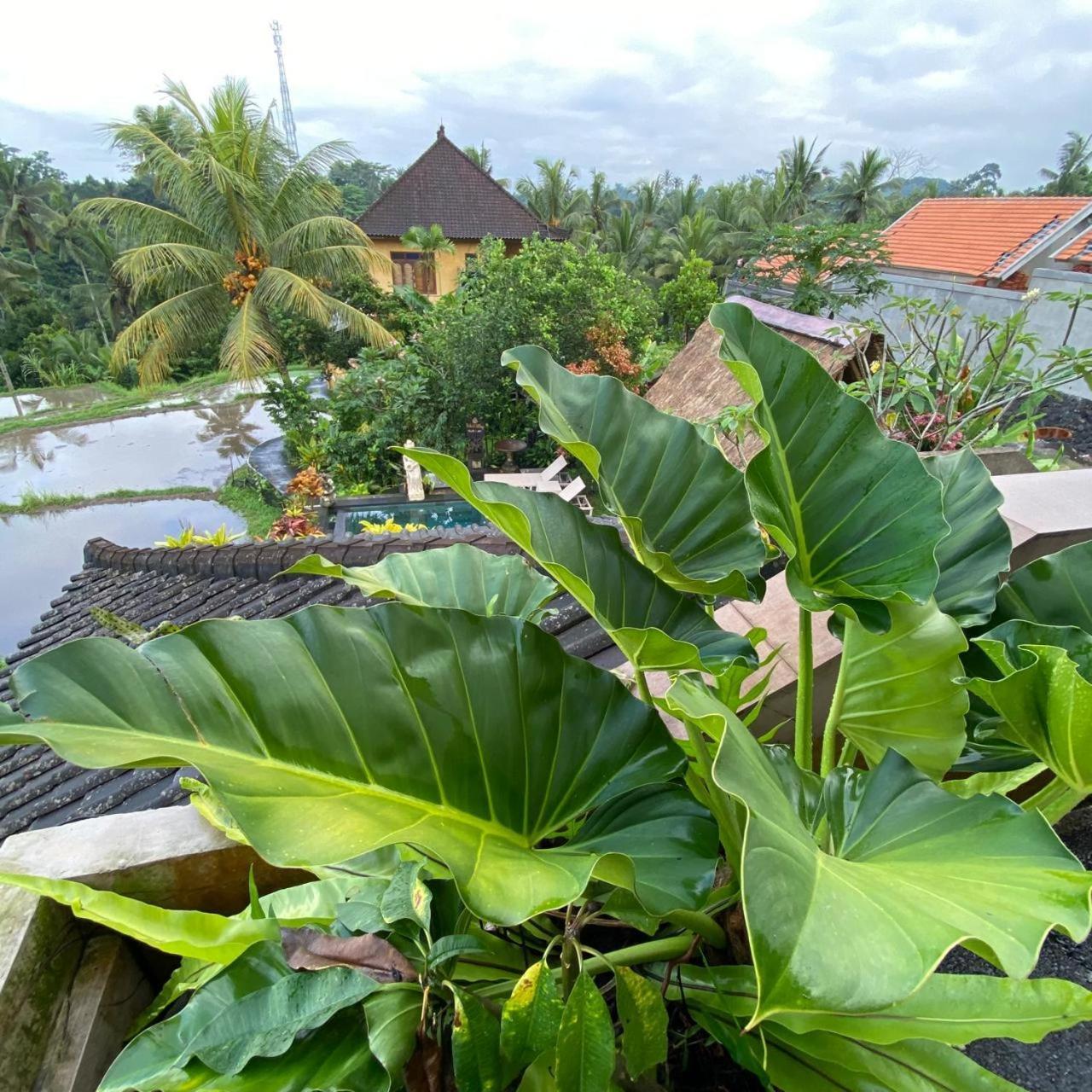 Dukuh Village Villas & Art Tegallalang  Camera foto