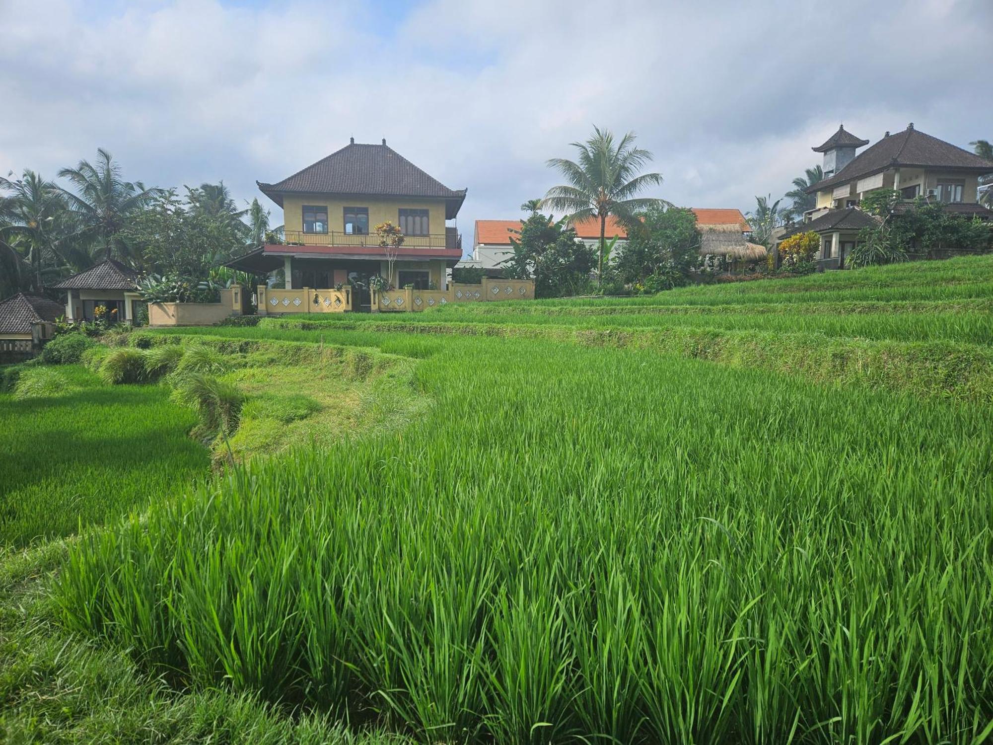 Dukuh Village Villas & Art Tegallalang  Esterno foto